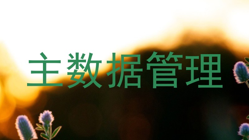 主数据管理