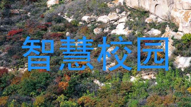 智慧校園