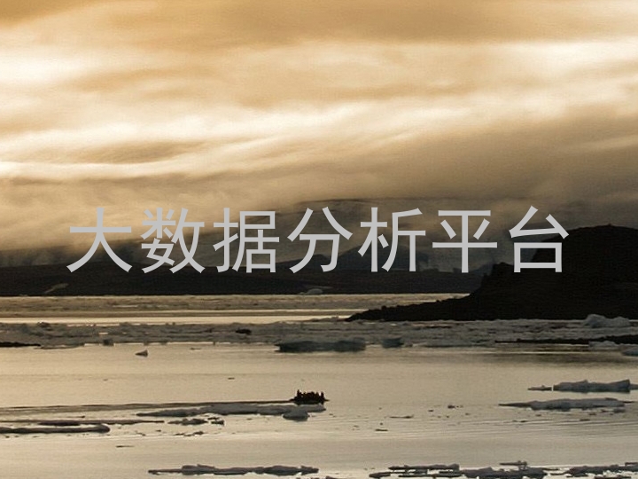 大数据分析平台