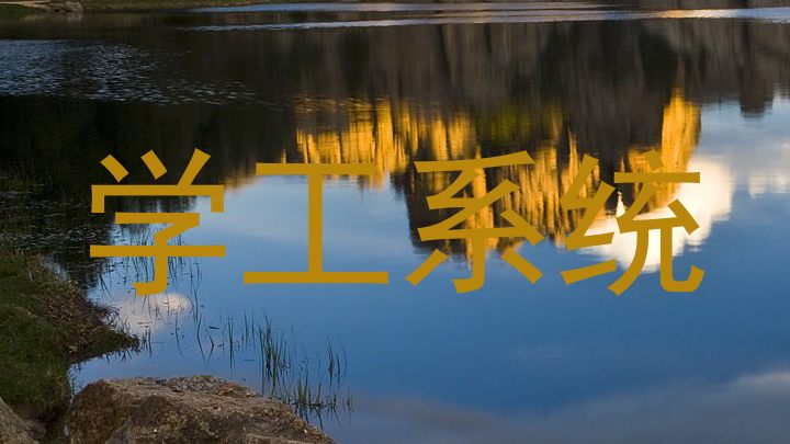 学工系统