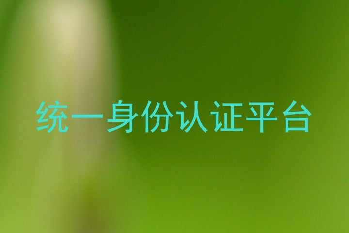 统一身份认证平台