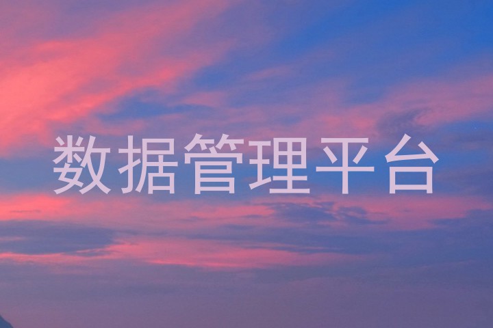 数据管理平台