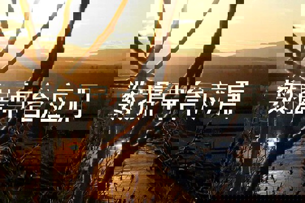 数据中台应用