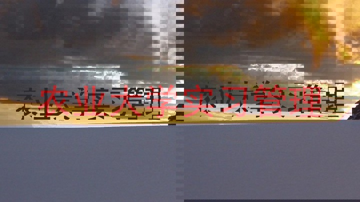 农业大学实习管理