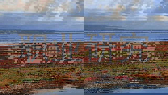 职业研究