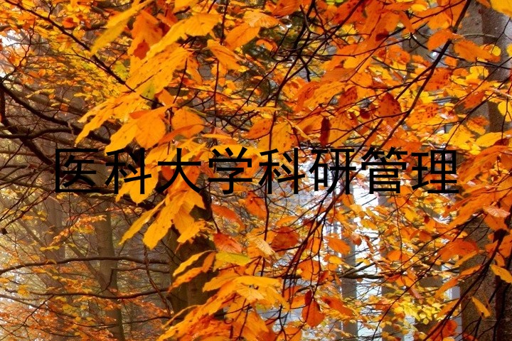 医科大学科研管理