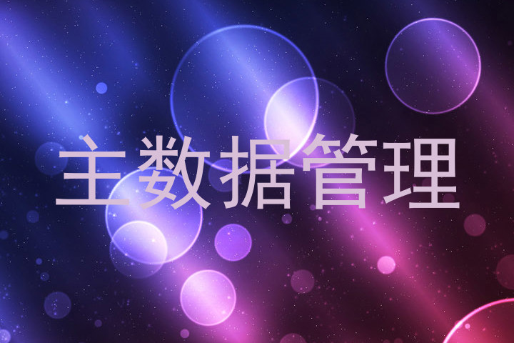 主数据管理