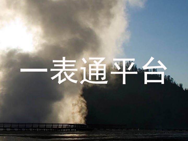 一表通平台
