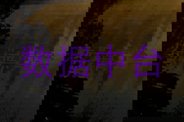 数据中台