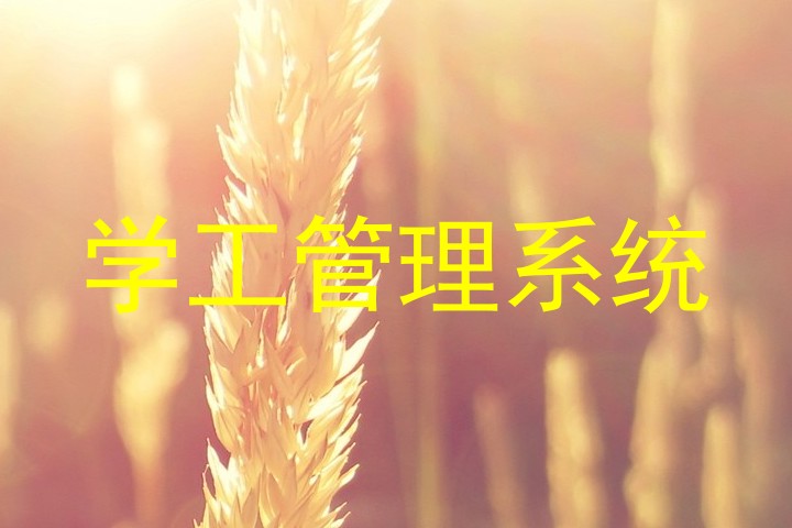学工管理系统