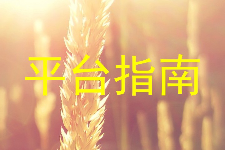 平台指南