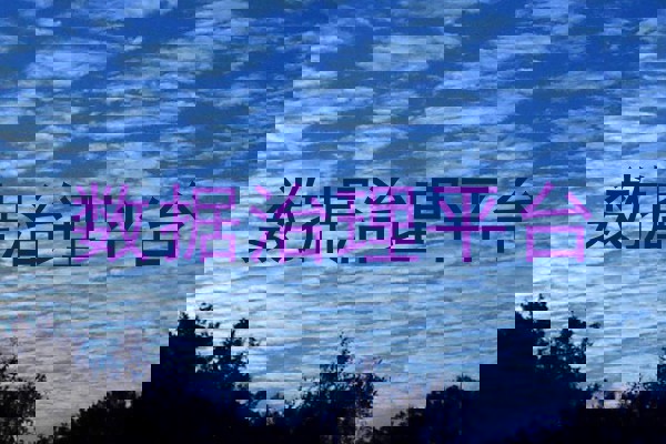 数据治理平台