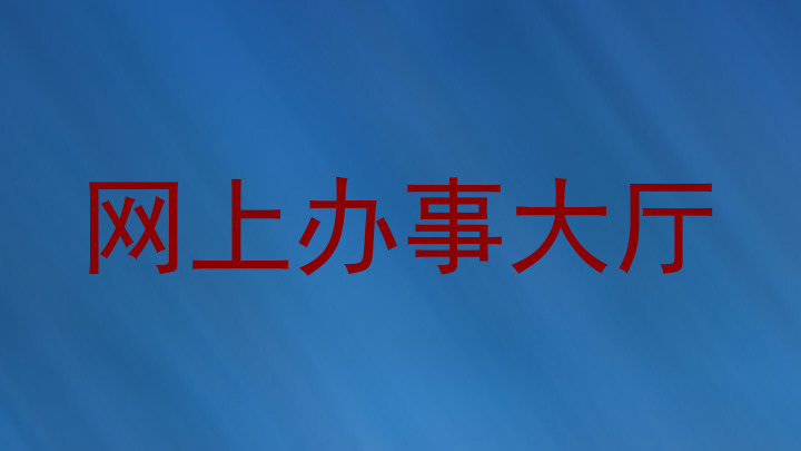 网上办事大厅