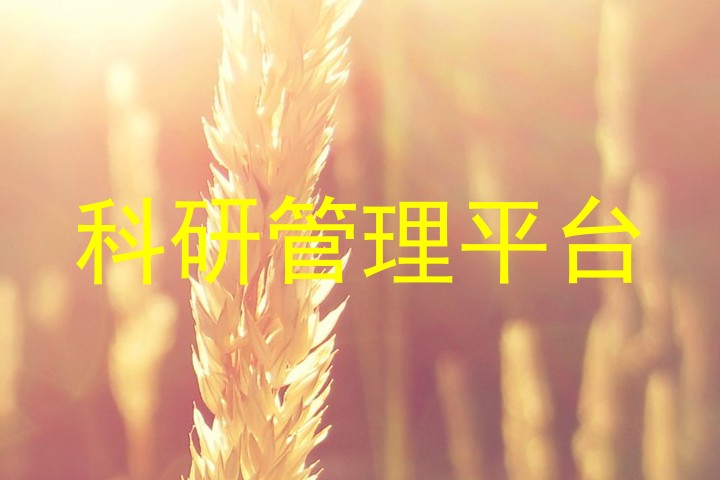 科研管理平台
