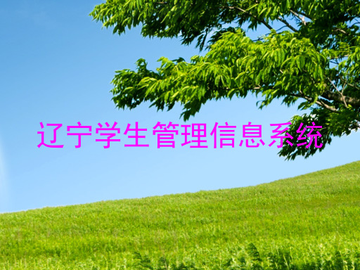 辽宁学生管理信息系统