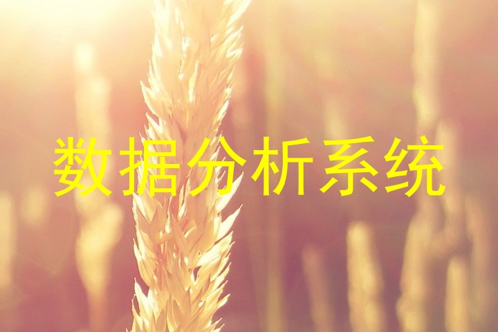 数据分析系统