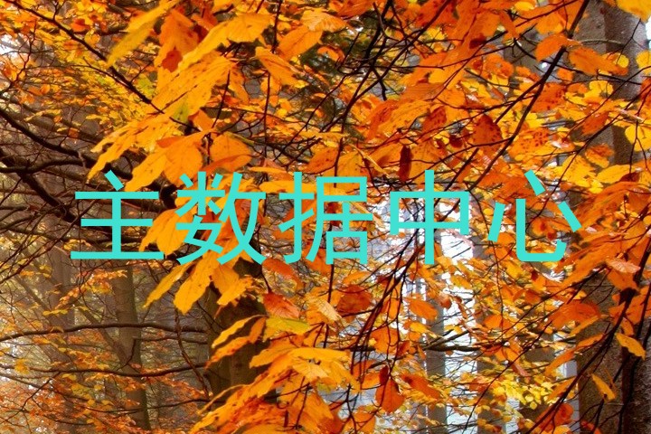 主数据中心