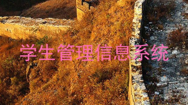 学生管理信息系统
