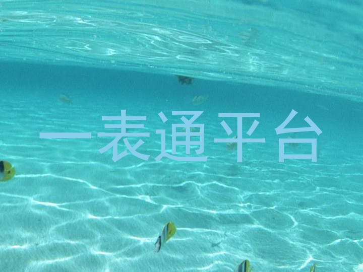 一表通平台