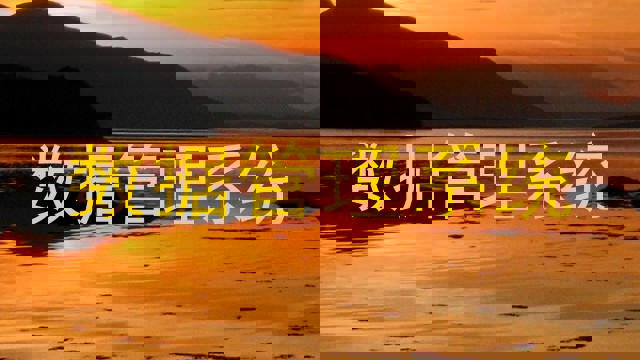 数据管理系统