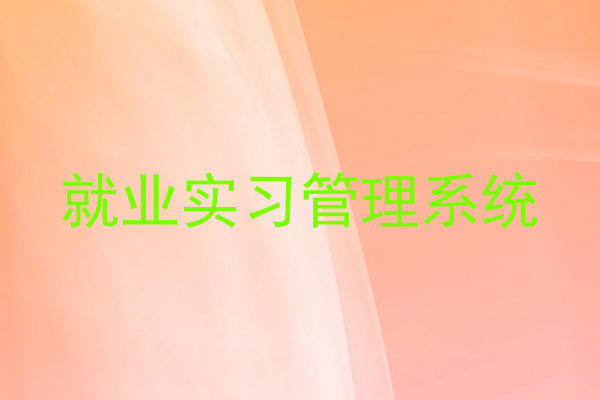 就业实习管理系统