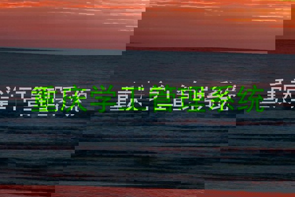重庆学工管理系统
