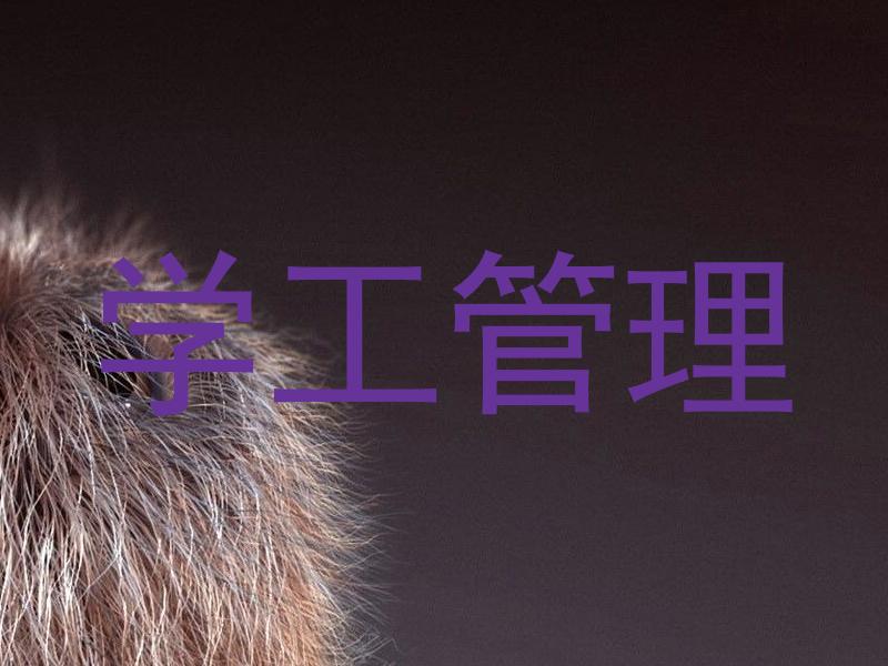 学工管理