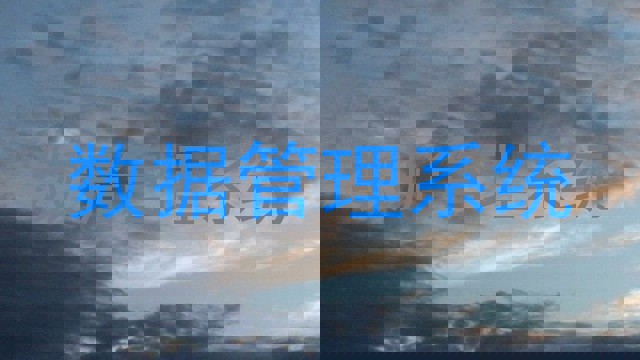 数据管理系统