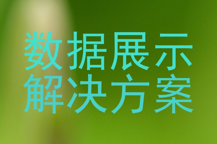 数据展示