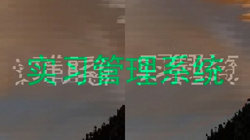 实习管理系统