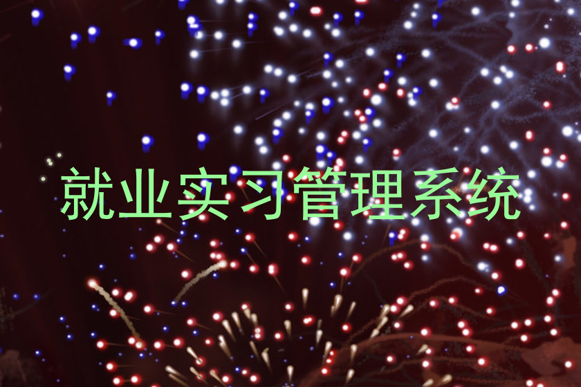 就业实习管理系统