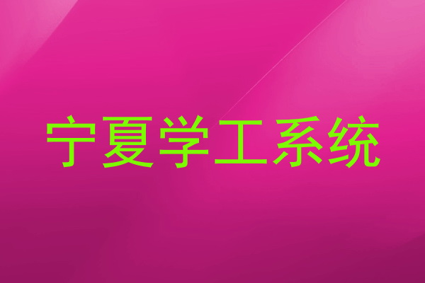 宁夏学工系统