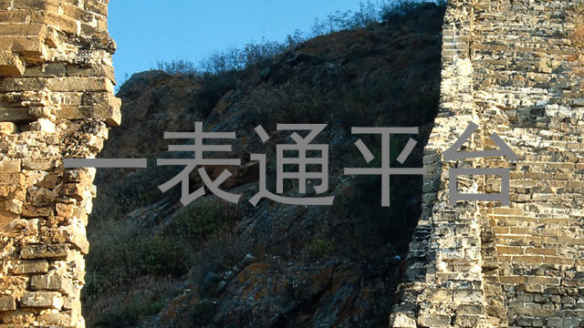 一表通平台