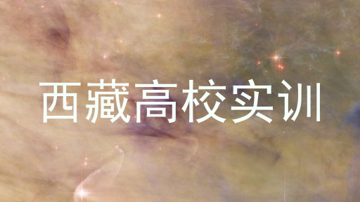 西藏高校实训