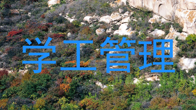 学工管理