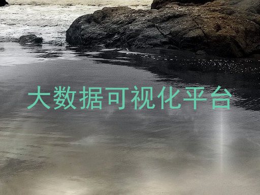 大数据可视化平台