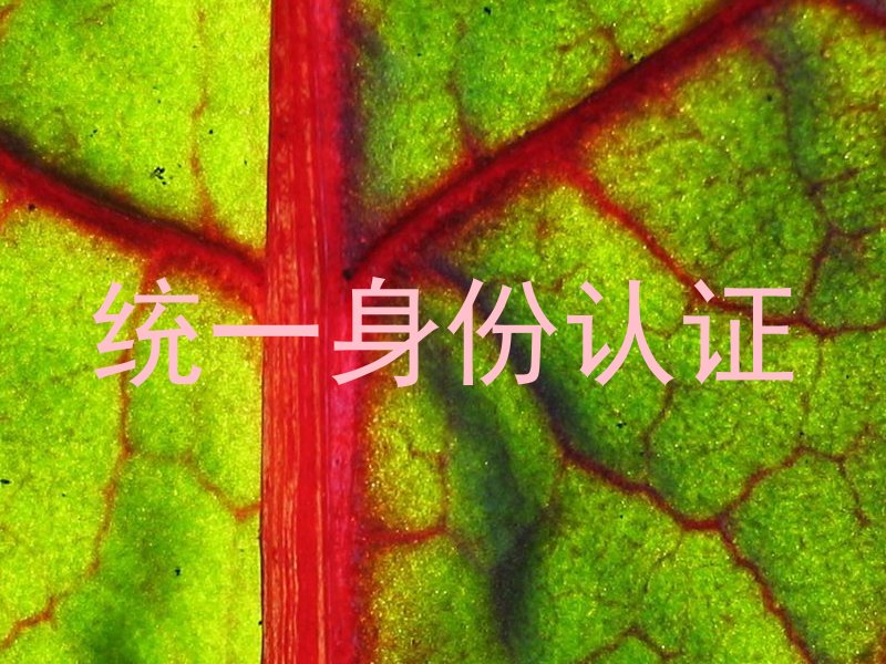 统一身份认证