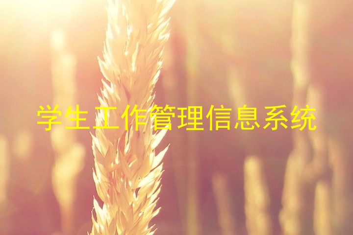 学生工作管理信息系统
