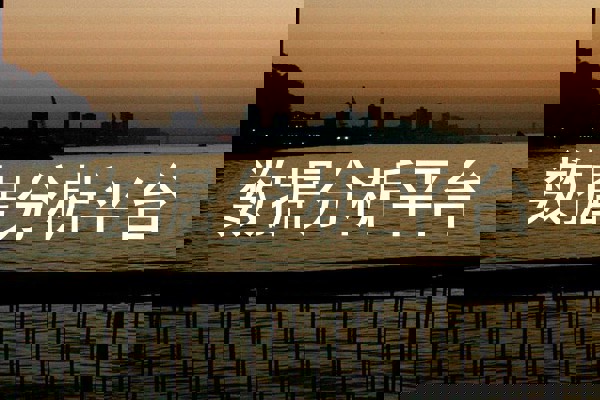 数据分析平台
