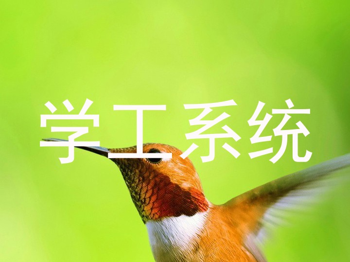 学工系统