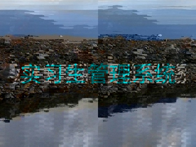 实习生管理系统