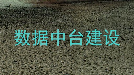 数据中台建设