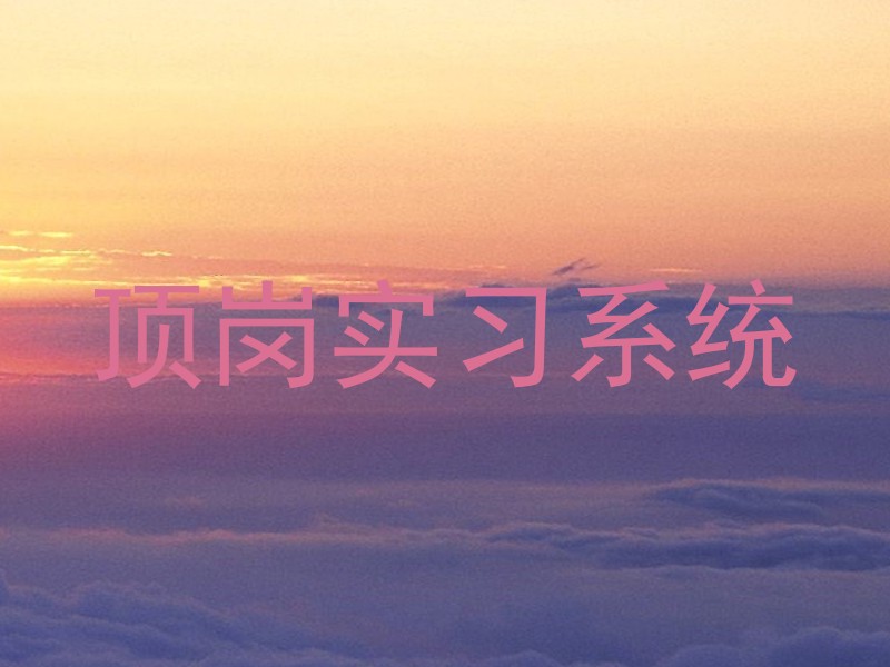 顶岗实习系统