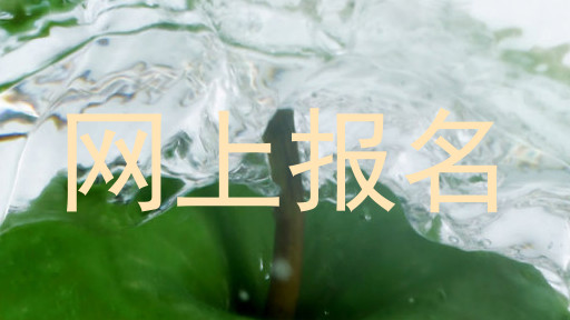 网上报名