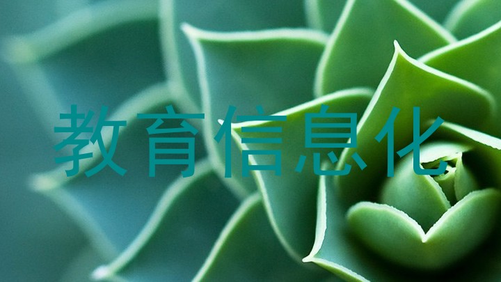 教育信息化