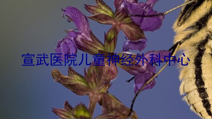 宣武医院儿童神经外科中心