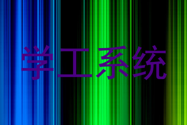 学工系统