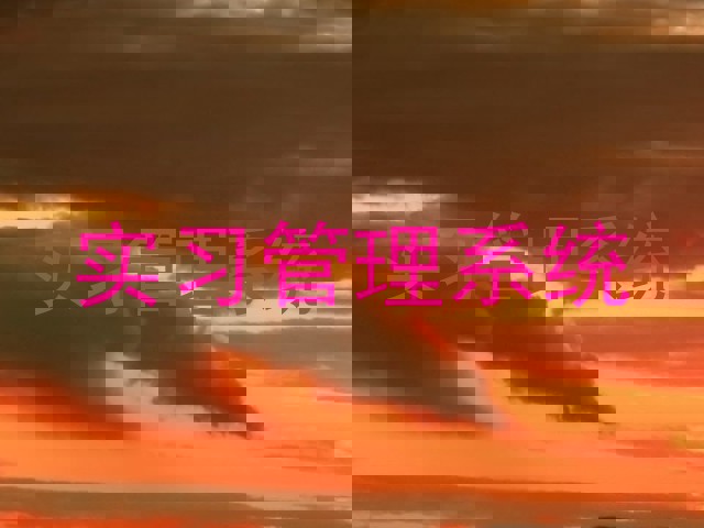 实习管理系统