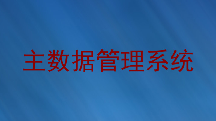 主数据管理系统