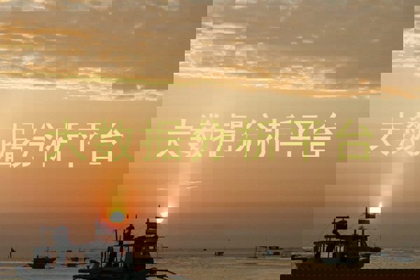 大数据分析平台